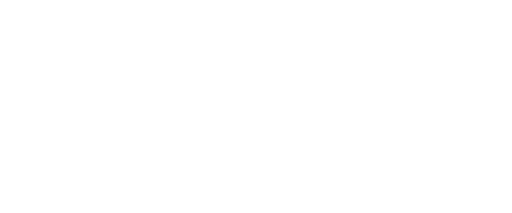 Laboratorio Woler 2